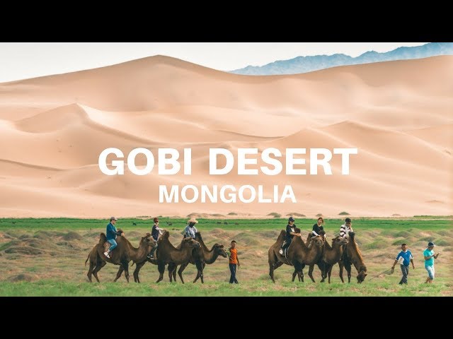 gobi desert